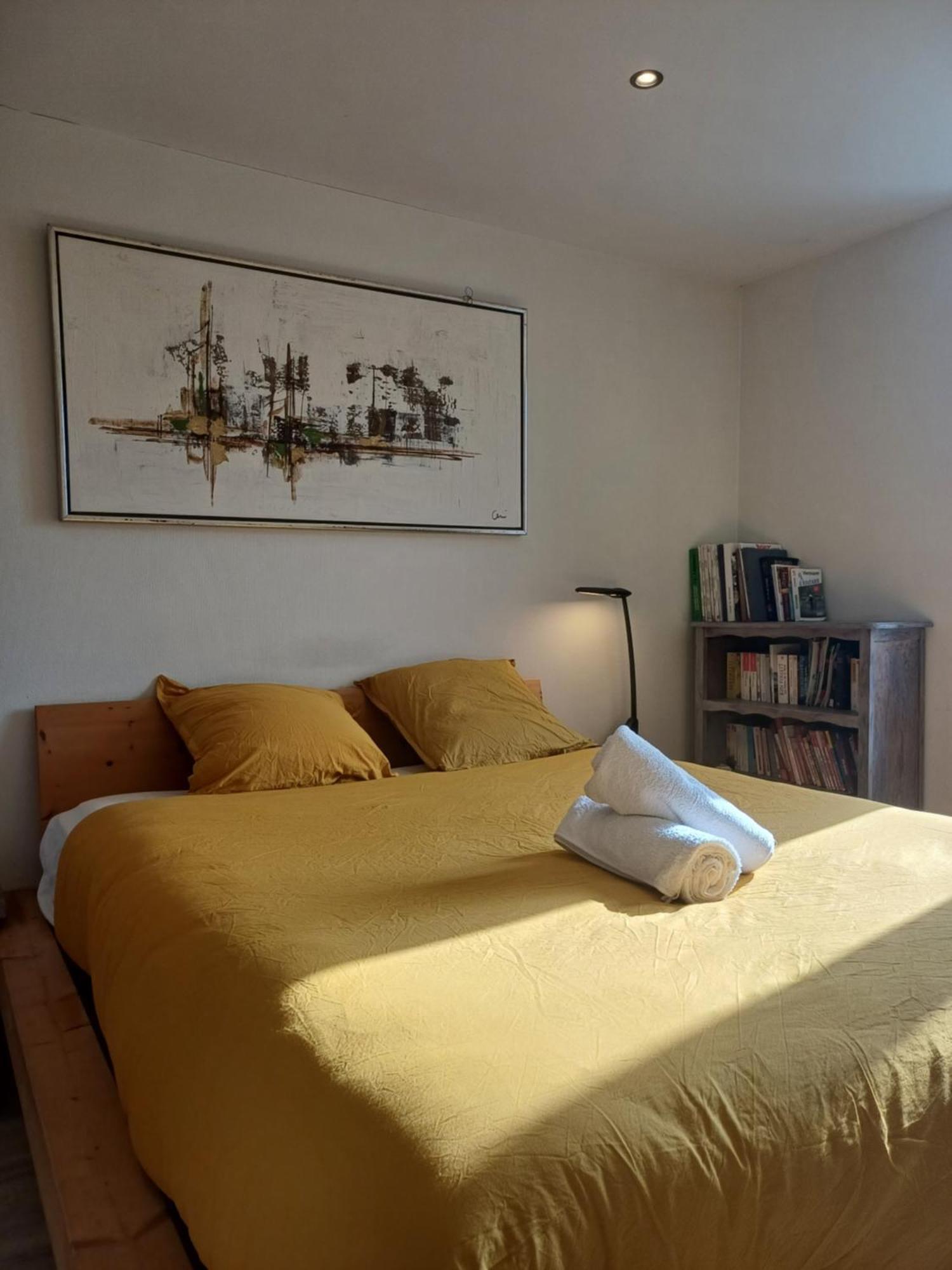 Le Grenier A Sel, Chaleureux 2 Chambres-Centre-Gare رانس المظهر الخارجي الصورة